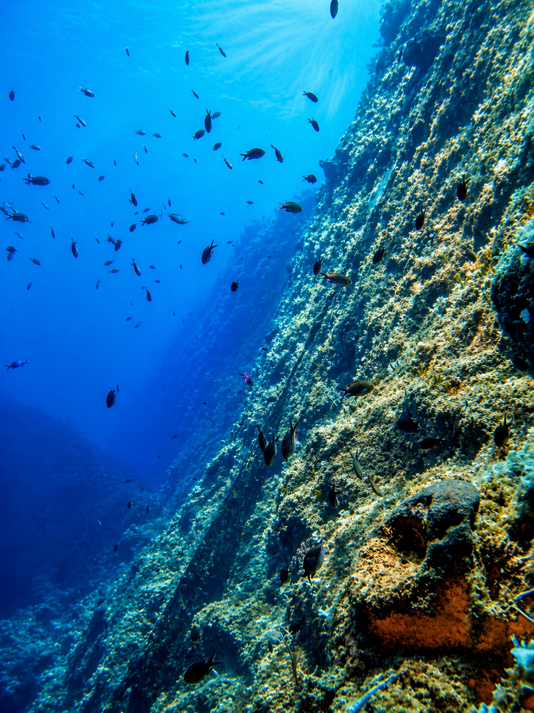 Reef wall at Jubilee Shoals, Limassol, Cyprus, with schools of fish and clear blue water