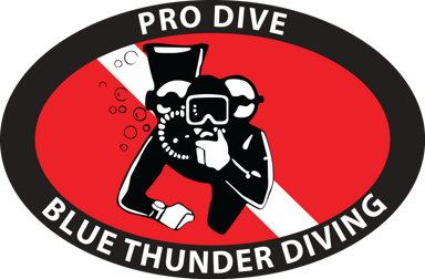Logo of Pro Dive NAUI dive centre with own boat in Limassol Cyprus